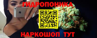 сатива Краснокаменск