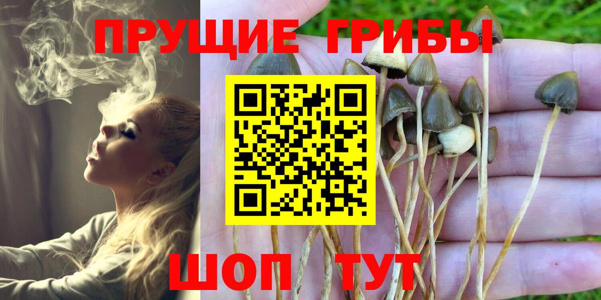 Псилоцибиновые грибы MAGIC MUSHROOMS Донской